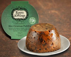 ROOTS & WINGS ORGANIC CHRISTMAS PUDDING 100G